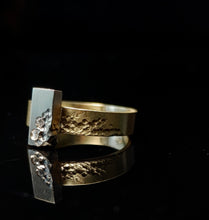 Load image into Gallery viewer, Old Castle