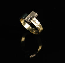 Load image into Gallery viewer, Old Castle