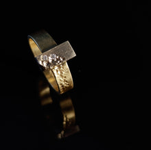 Load image into Gallery viewer, Old Castle