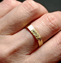 Load image into Gallery viewer, Signet Dust