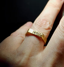 Load image into Gallery viewer, Signet Dust