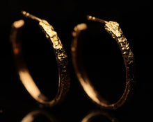 Afbeelding in Gallery-weergave laden, Golden Dust Hoops
