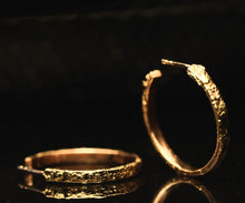 Afbeelding in Gallery-weergave laden, Golden Dust Hoops
