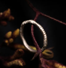 Load image into Gallery viewer, Quiet Rhythm
